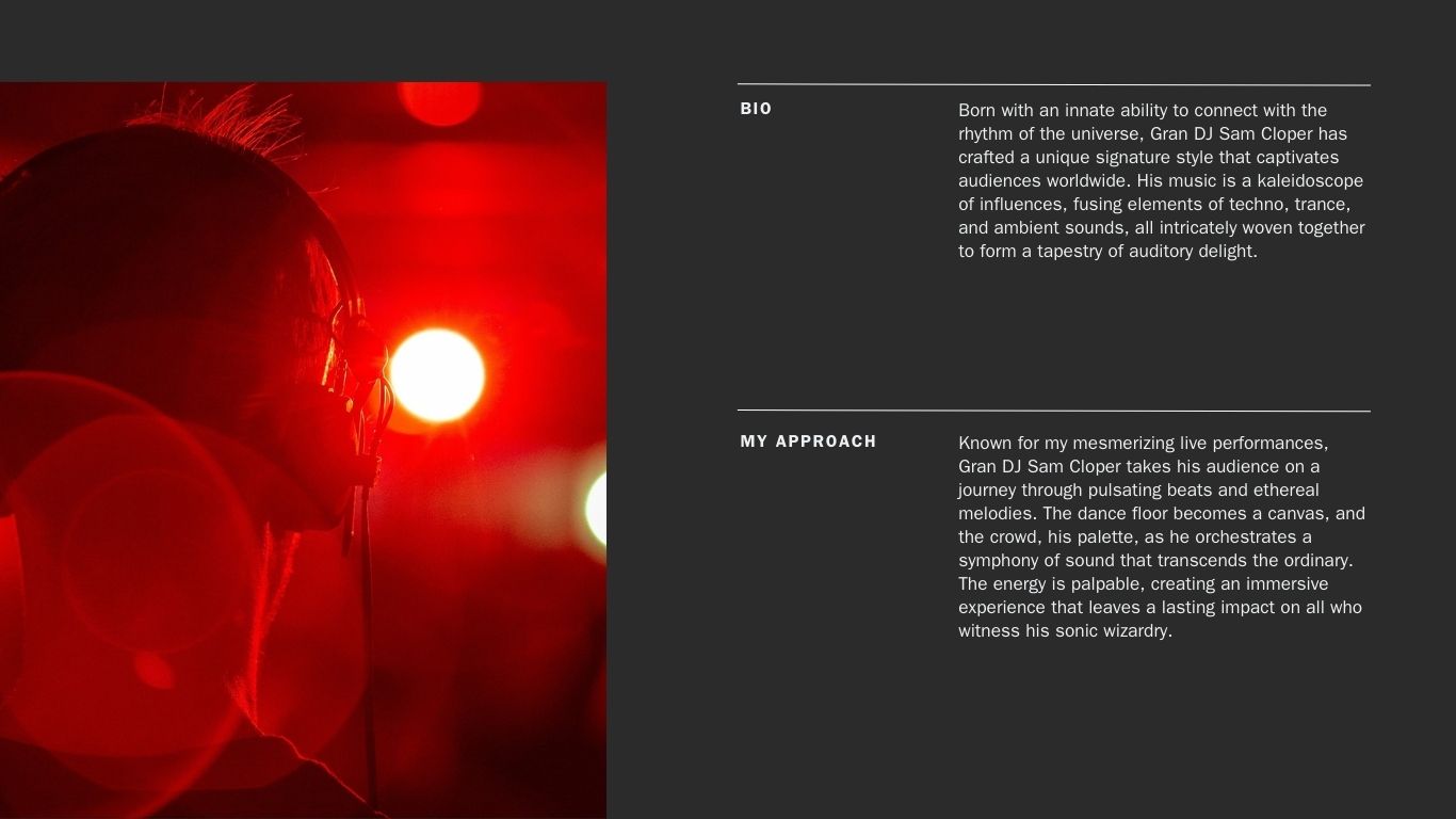 diseno web para dj artistas (3)